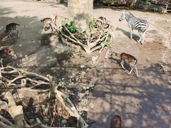 -长鹿旅游休博园