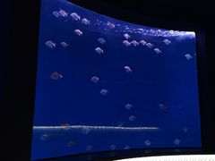 -沈阳海洋探索中心