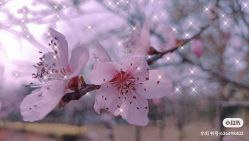 点击看大图 -Mu慕婚纱摄影·超级工作室