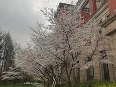 -上海小菜餐厅(理工大学店)