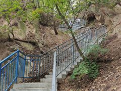 -六里坪国家森林公园