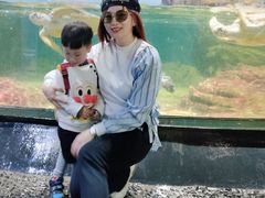 -江和美海洋公园