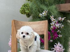 -沛家·食四季(小娄巷店)