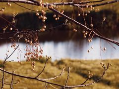 -盘龙城国家考古遗址公园