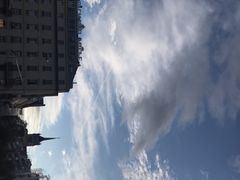 -花钟
