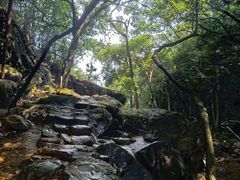 -牛鱼嘴原始生态风景区