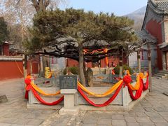 -泰山风景名胜区-普照寺