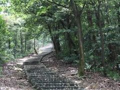 -广州市帽峰山景区