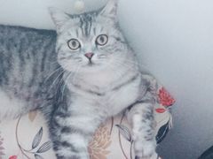 -美联众合动物医院·24h京西诊疗中心