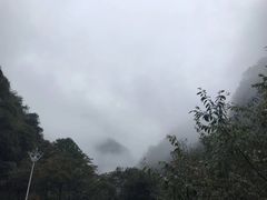 -陕西省红河谷森林公园