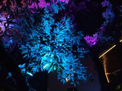 -爵士花园音乐酒吧餐厅