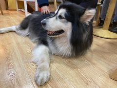 -白兔子密室(长寿路店)