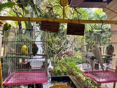 -西双版纳融创皇冠假日度假酒店