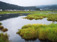 -腾冲北海湿地