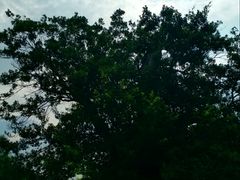-金山植物公园