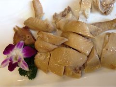 传统白切一味鸡-海宝酒家(中山四路店)