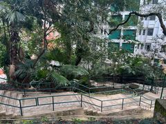 -香港大学