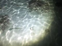 -卡帕莱度假村(西巴丹岛)