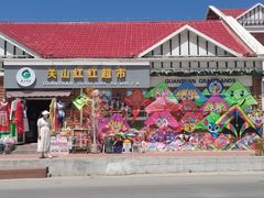 -关山草原