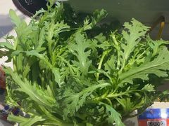 -蒙都43°9羊火锅·赤峰美食(桥北店)