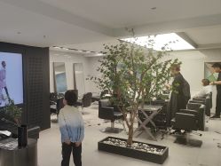 -付军剪艺JF ProSalon