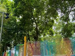 -东南花都花博园