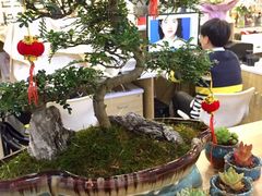 -云城照相馆(龙湖雨山天街店)