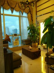 -ＤＯＭＯプロの美容サロン