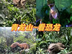 -广州长隆野生动物世界