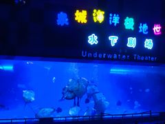 -泉城欧乐堡海洋极地世界