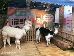 -佟小曼手工茶饼坊(鼓浪屿1店)