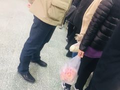 -中关村茶点
