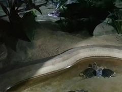 -泉城欧乐堡海洋极地世界