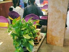 大堂-鹏馨羊羔肉·非遗(新建街店)