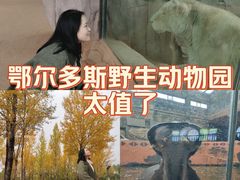 -鄂尔多斯野生动物园