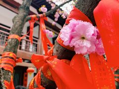 -西安青龙寺遗址景区