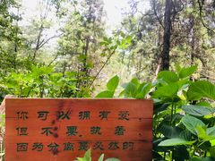 -寂照庵