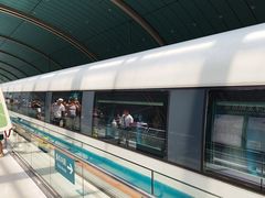 -龙阳路磁悬浮列车总站-停车场