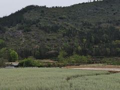 -万峰林风景区