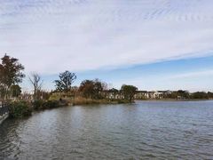 -上海长兴岛郊野公园