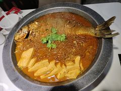 -来相会饺子·新辽菜(甘家口店)