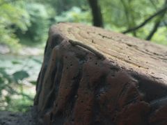 -水墨汀溪风景区