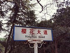 -武汉大学老图书馆