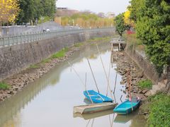 -长洲岛