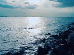 -宝安西湾红树林湿地公园