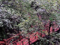 -大岭沟猕猴桃谷风景区