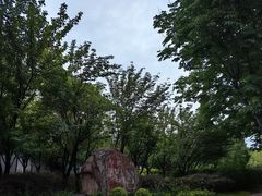 -河南财经政法大学(郑东校区)