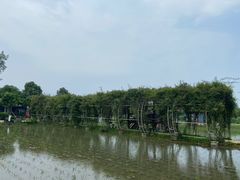 -洪湖家庭农场·团建·露营·会议