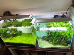 -祥云精致湘菜馆(东1时区店)