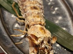 -辉记炭烧海鲜大排档·老字号(福田店)